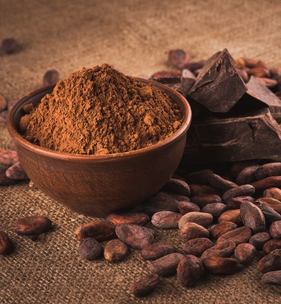 Poudre de cacao et fèves de cacao avec des carrés de chocolat.