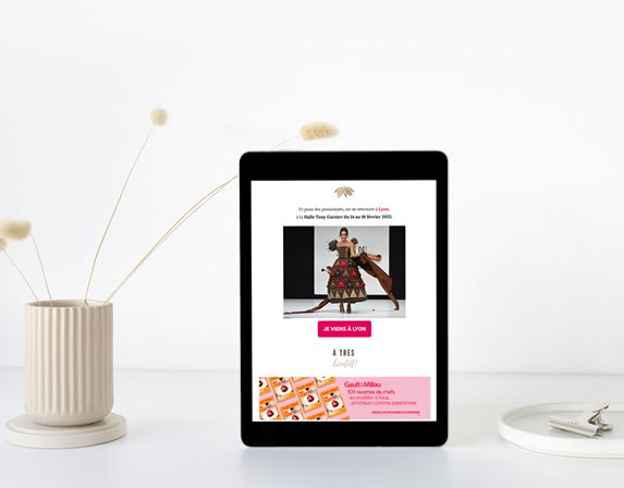 Mise en avant d'un encart de publicité sur une newsletter Salon du Chocolat.