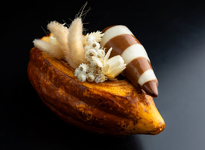 Pâtisserie en chocolat en forme de cabosse.